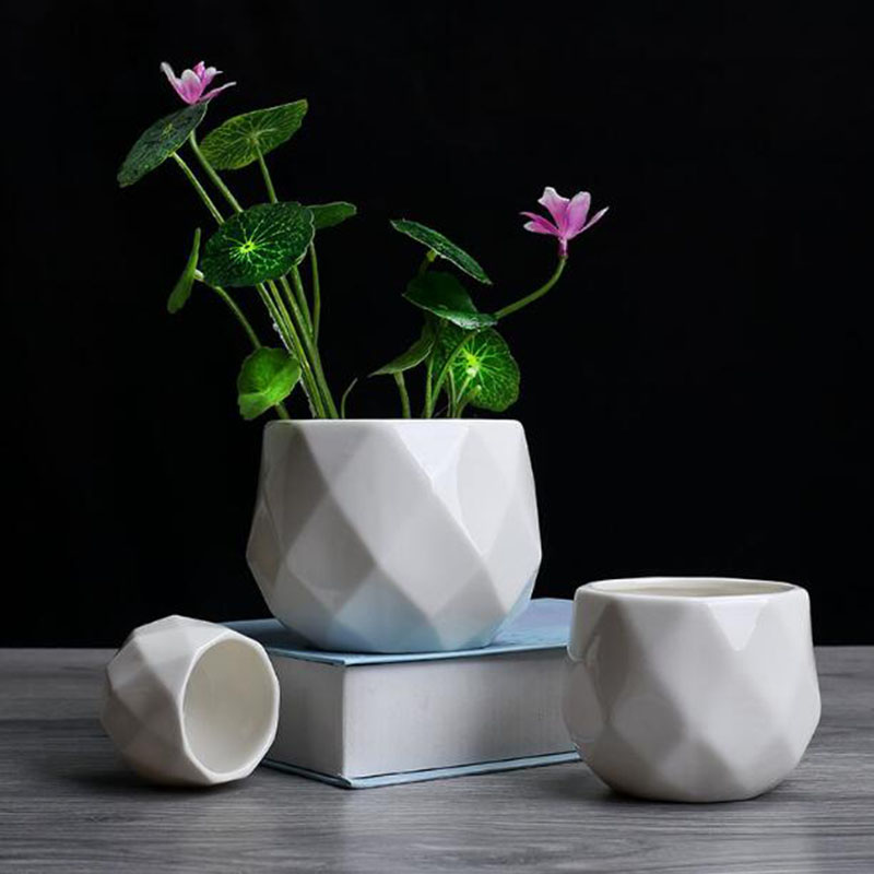 Aloe Vera Pot - European Simplicity Style White Porcelain Polyhedron
