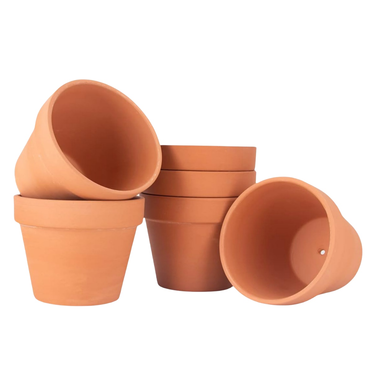 6pcs 4 inch Terracotta Pots Fl - Echeveria Succulent review and price
