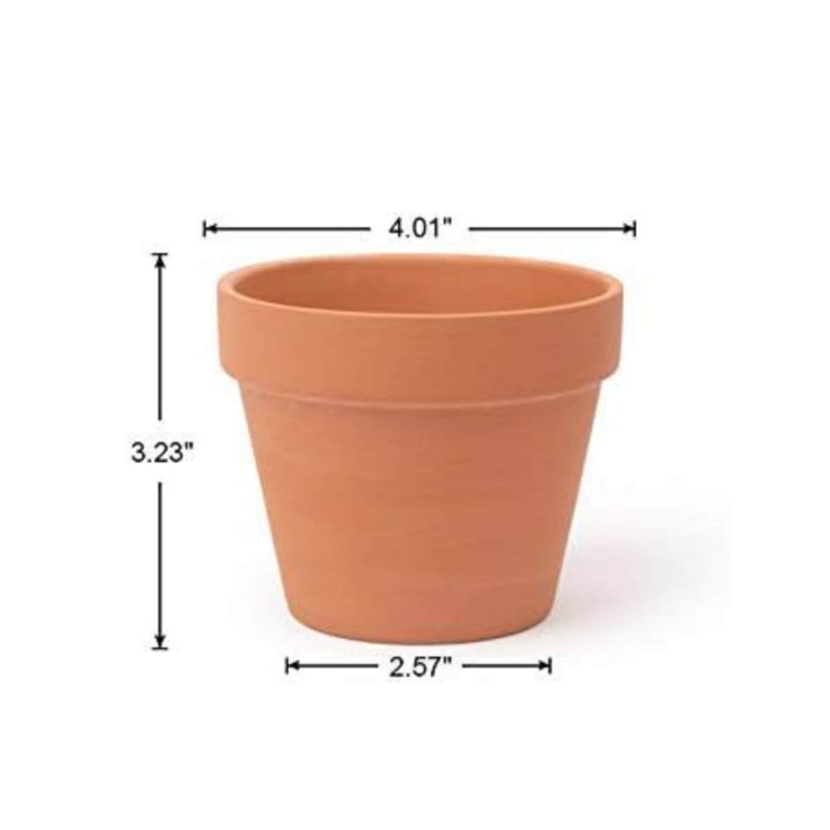6pcs 4 inch Terracotta Pots Fl - Echeveria Succulent review and price