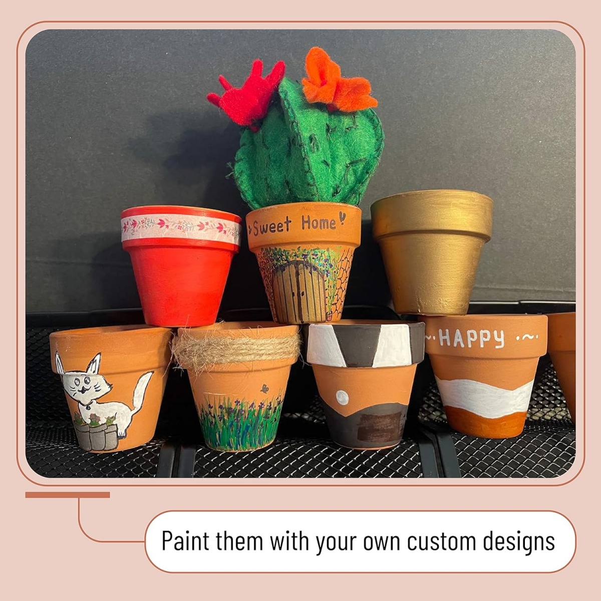 6pcs 4 inch Terracotta Pots Fl - Echeveria Succulent review and price