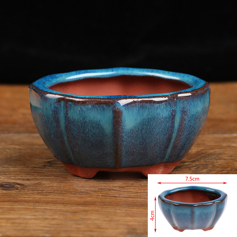 1pcs Bonsai Mini Ceramic Flowe - Echeveria Succulent review and price