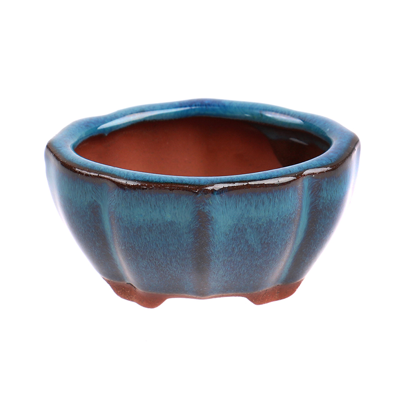 1pcs Bonsai Mini Ceramic Flowe - Echeveria Succulent review and price