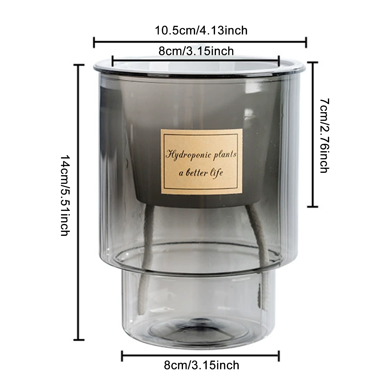 Automatic Water-Absorbing Flow - Echeveria Succulent review and price