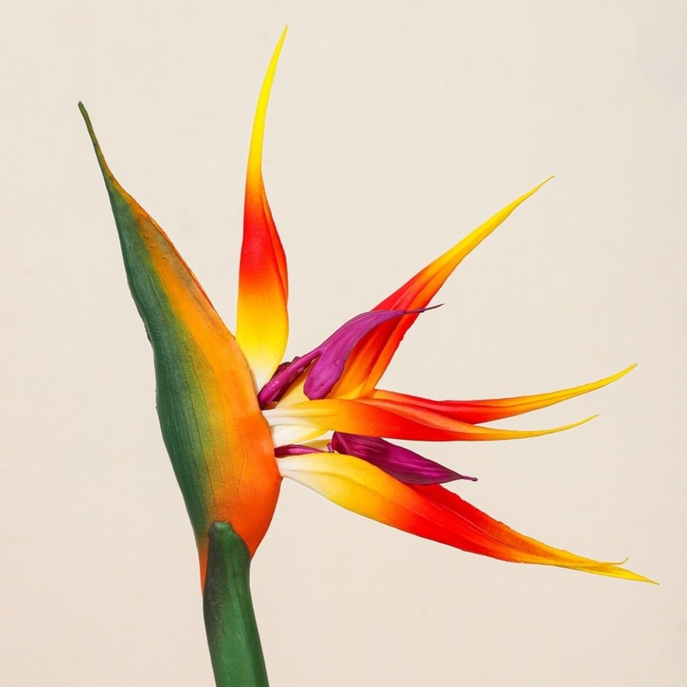 Long Stem Artificial Bird of P - Bird Paradise Strelitzia review and price