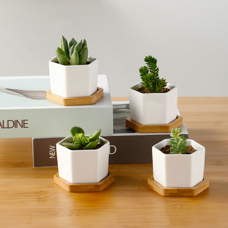 Ceramic Flowerpot White Hexago - Aloe Vera Pot review and price