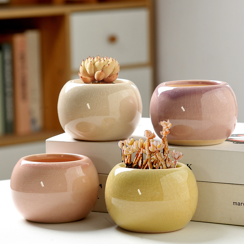 Flower Pot Ice Cracked Small C - Aloe Vera Pot review and price