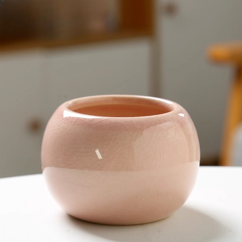 Flower Pot Ice Cracked Small C - Aloe Vera Pot review and price