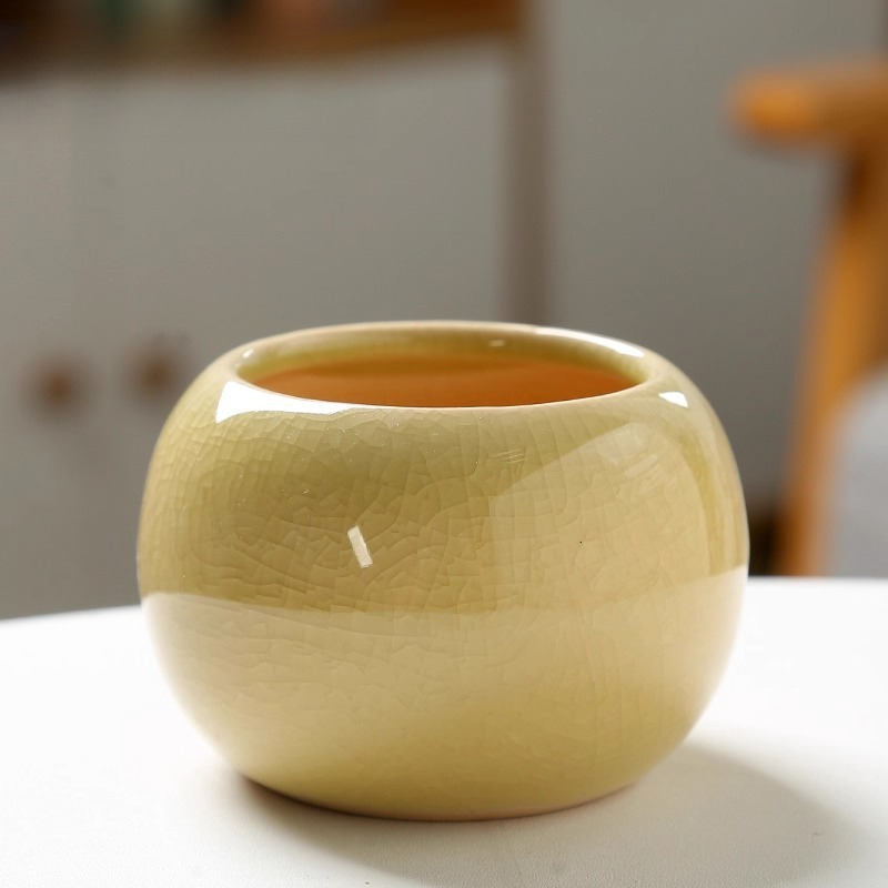 Flower Pot Ice Cracked Small C - Aloe Vera Pot review and price