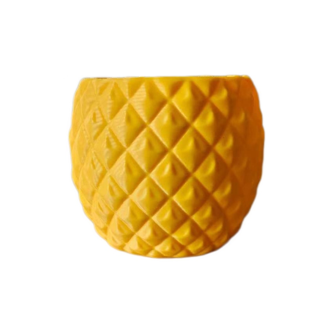 Plastic Fruit Flower Pot 3D Pr - Echeveria Succulent review and price