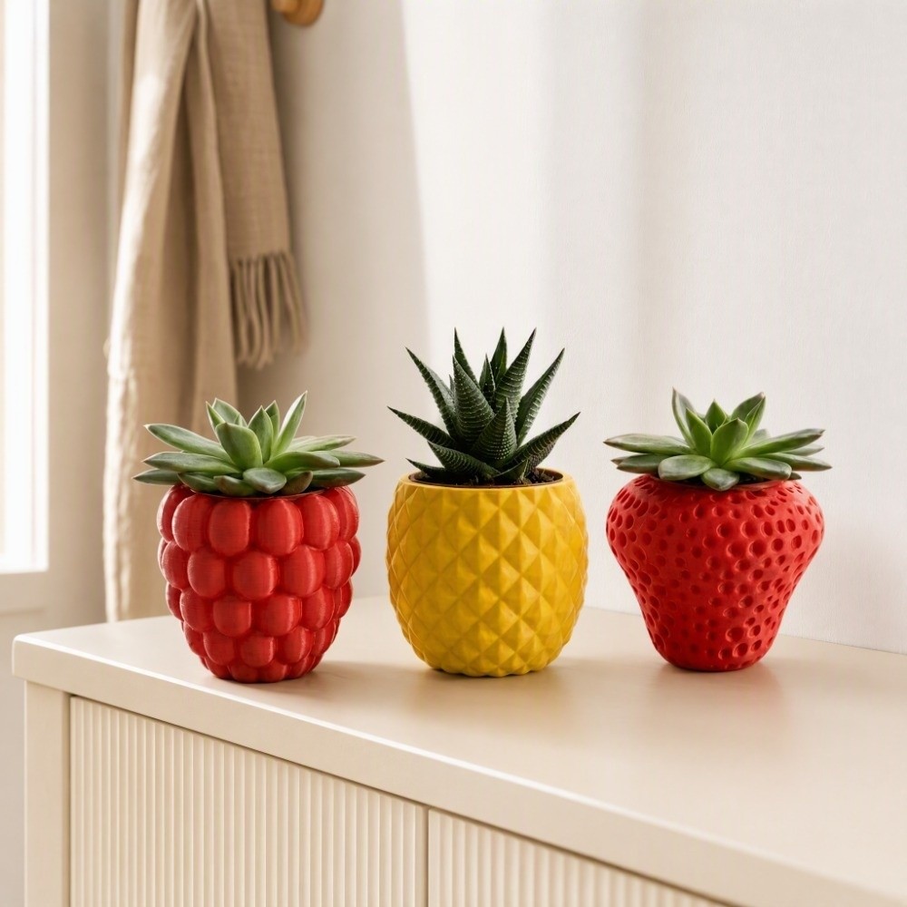 Plastic Fruit Flower Pot 3D Pr - Echeveria Succulent review and price