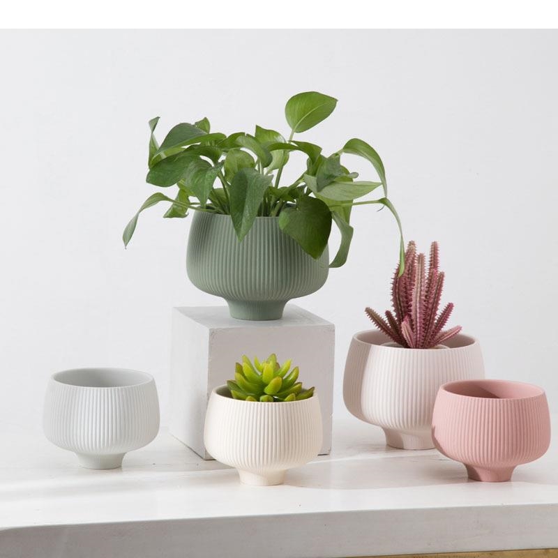 Multicolor Stripes Ceramic Vas - Aloe Vera Pot review and price