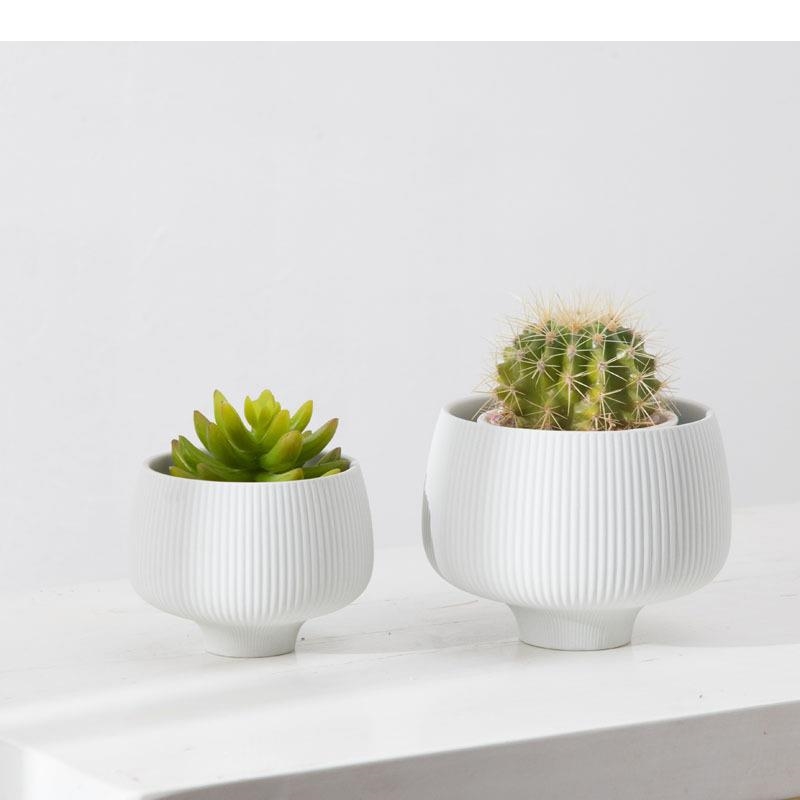 Multicolor Stripes Ceramic Vas - Aloe Vera Pot review and price