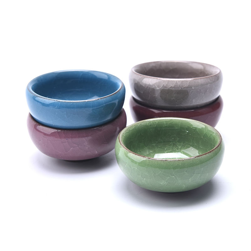 Cute Ice-Crack Glaze Flower Ce - Echeveria Succulent review and price