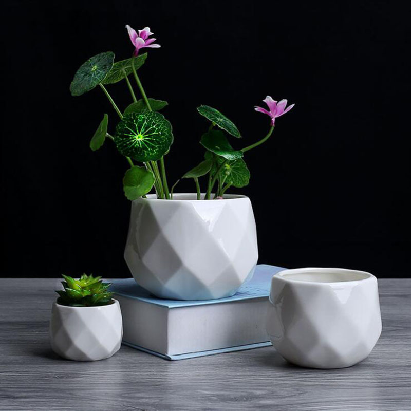 European Simplicity Style Whit - Aloe Vera Pot review and price