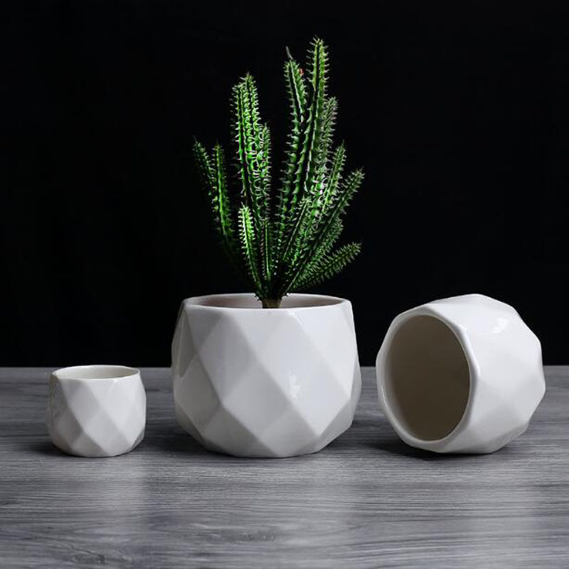 European Simplicity Style Whit - Aloe Vera Pot review and price