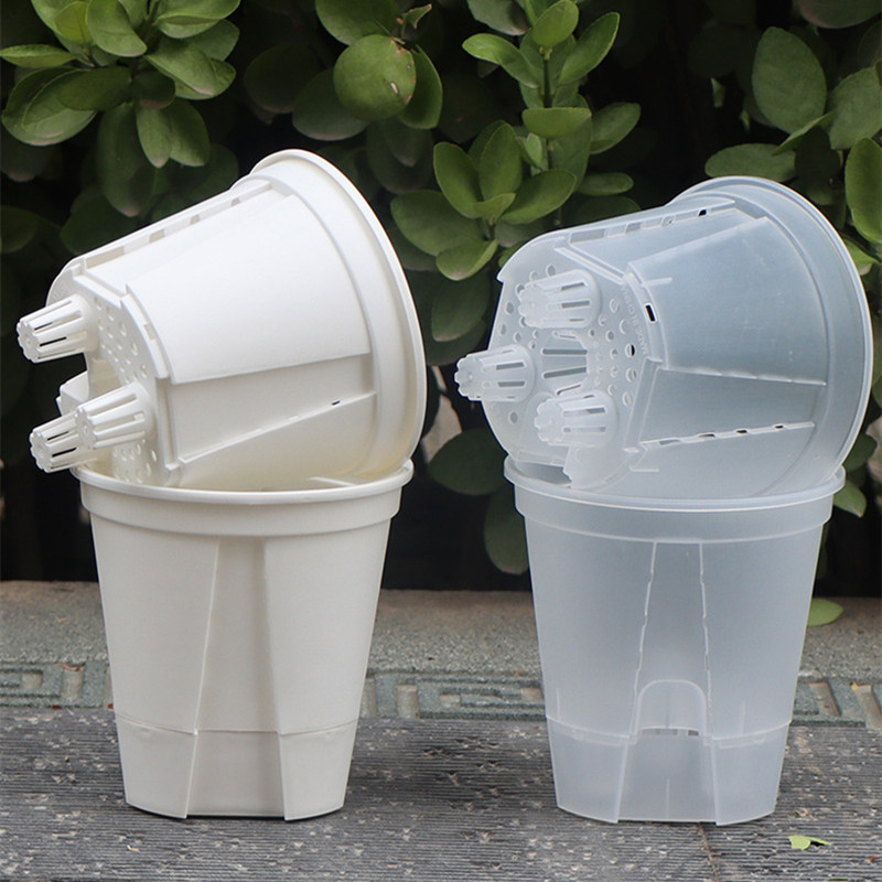 5pcs Transparent Orchid Pot wi - Aloe Vera Pot review and price